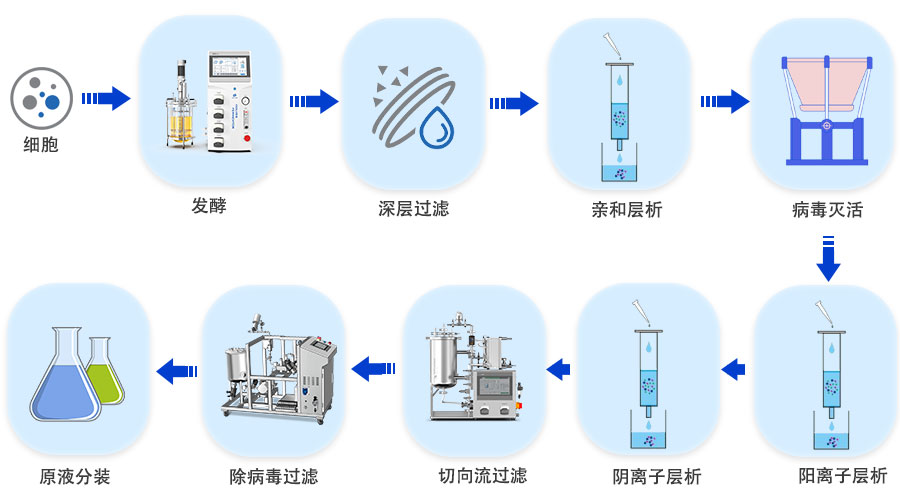 重组蛋白工艺