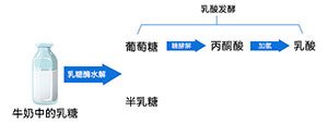 酸奶发酵原理