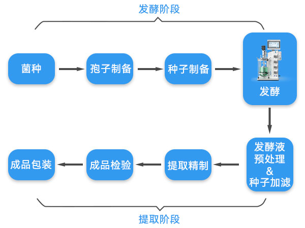 抗生素生产流程示意图