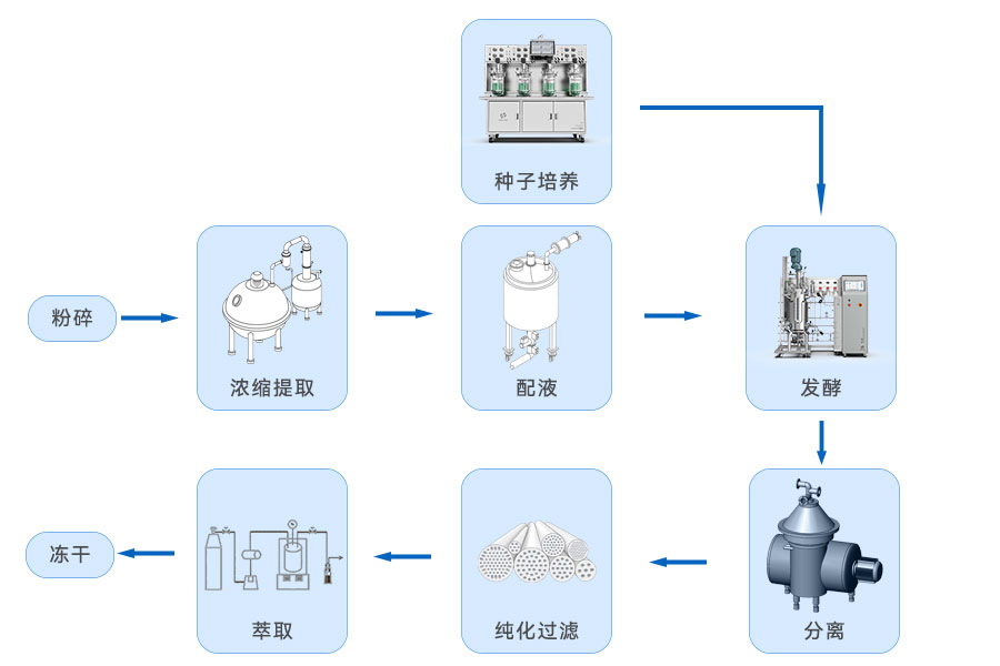 生物发酵提取流程图